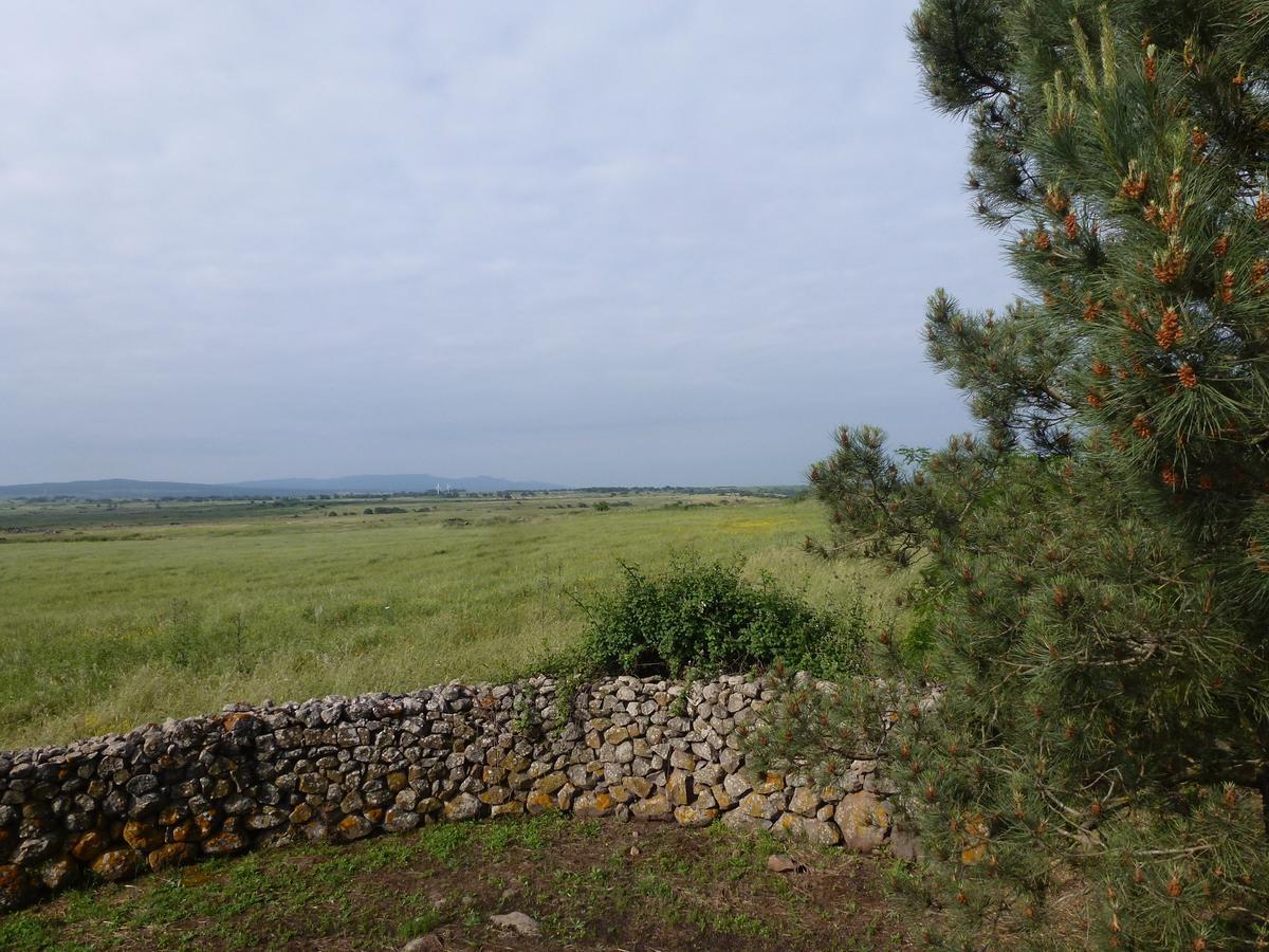Agriturismo Nuragh'Elighe Sindia Exterior photo